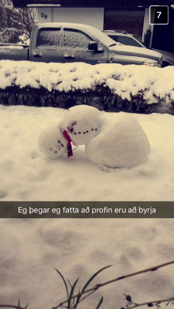 Segir allt sem þarf