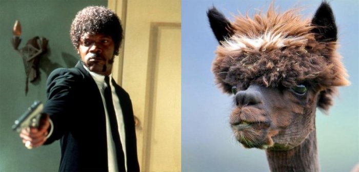 beladonna_hryu's tweet image. 