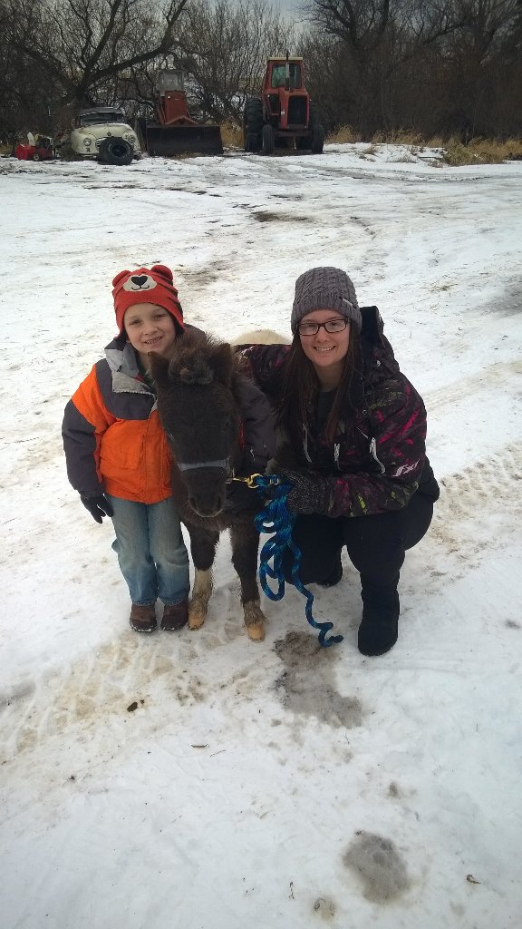 cassi_curtis's tweet photo. Christmas came early!! #EmmittandRoxy #FoxyRoxy #Tinyponies https://t.co/OMvHyWvgkH