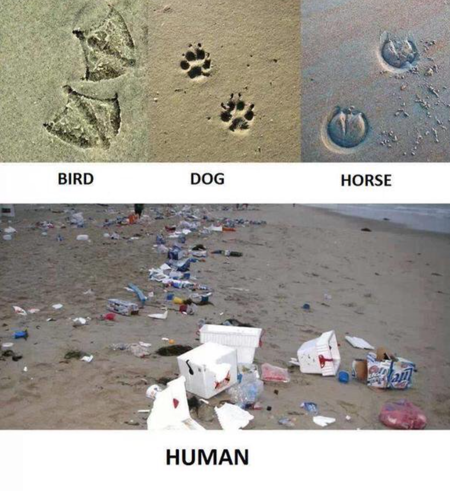 MartaWaydel's tweet photo. #footprints #fash_rev #consumption #fashion #cop21 #materialism #NonConsumer https://t.co/tdNCYiYfcu