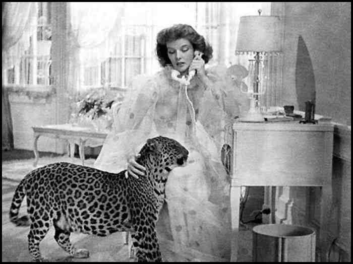 Amazing Historical Photo of Katharine Hepburn in 1938 