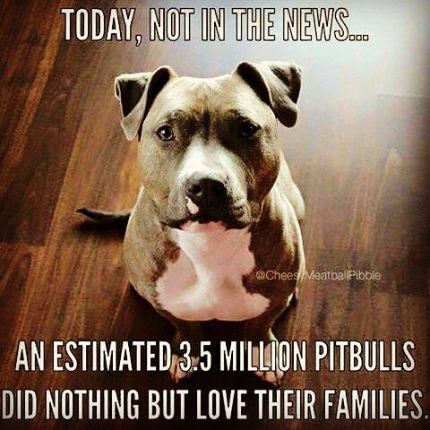 KnottyToys4GD's tweet photo. End BSL
#knottytoysforgooddogs #allnaturaldogtoys #hemp #handmade #happydogs #goodchew #he… https://t.co/aeBVuoN3Pu https://t.co/pBUpRCNsHc