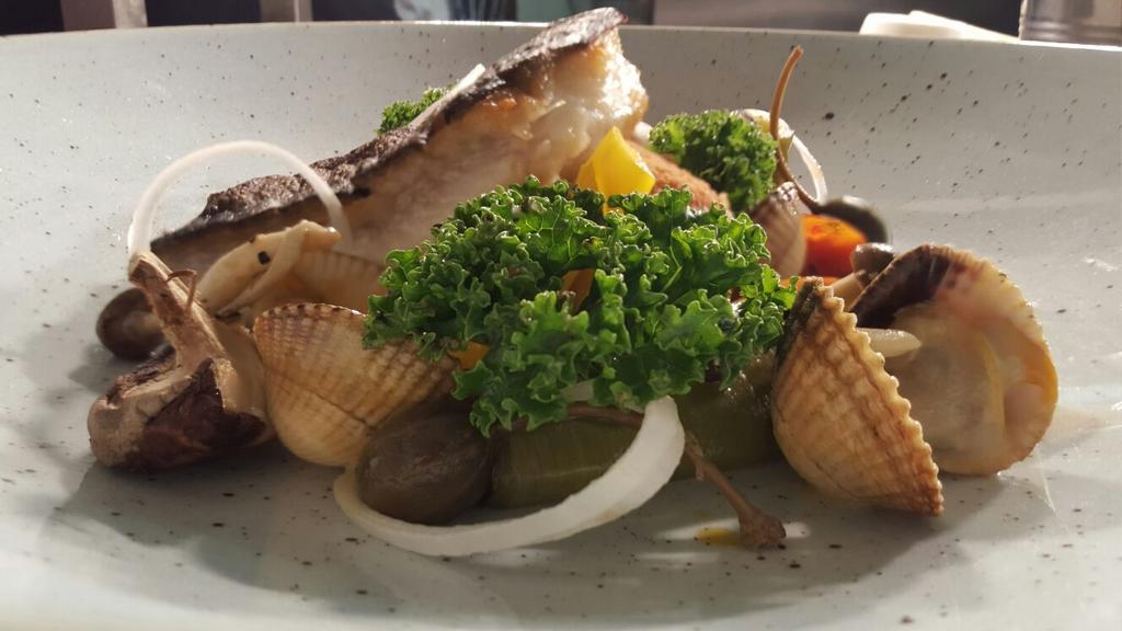 chris howe (@howechrisdf) on Twitter photo #halibut dish tonight <a href="/HoweChrisdf/">chris howe </a> @barryathartes @BarAshtons <a href="/GoodFoodIreland/">Good Food Ireland®</a> <a href="/fahey_rossa/">Rossa Fahey </a> <a href="/cafe_timeless/">Timeless cafe</a> #halibut dish tonight <a href="/HoweChrisdf/">chris howe </a> @barryathartes @BarAshtons <a href="/GoodFoodIreland/">Good Food Ireland®</a> <a href="/fahey_rossa/">Rossa Fahey </a> <a href="/cafe_timeless/">Timeless cafe</a>