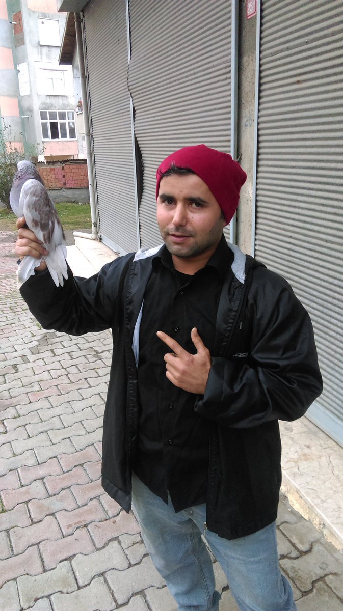 Djturan Arabeskinses (@djturana) on Twitter photo 