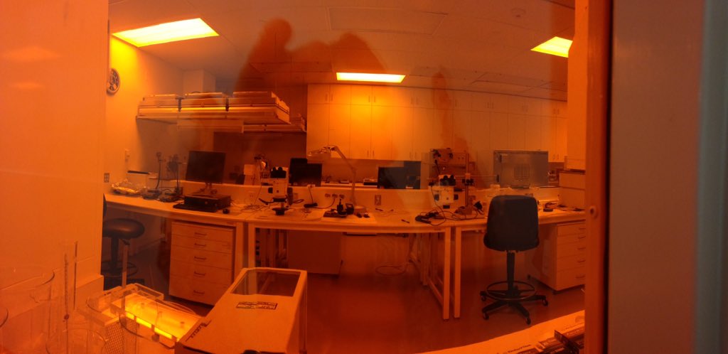 MsNaudts's tweet image. X-Ray lithography beam line; orange light created after removing UV and blue light from white @rabadiah #210phys