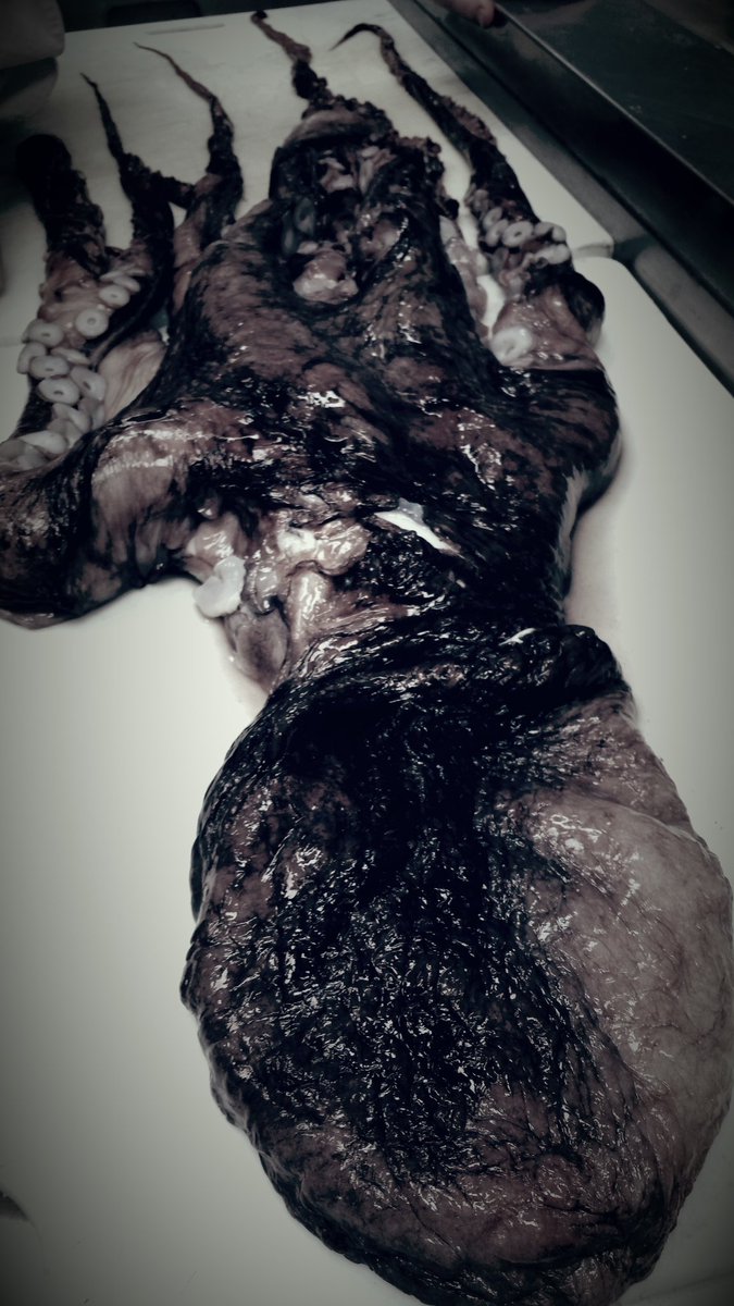 chefchartrand's tweet photo. #charcoal #grill
#bbqoctopus https://t.co/uh1UXGRvwm