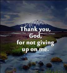 MyRaster's tweet image. 