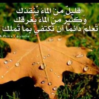 كن من الشاكرين
من اسرارالسعاده ان يتذكرالانسان مالديه
من نعم قبل ان يتذكر مالديه من هموم
اللهم لك الحمدوالشكر🙏🌼