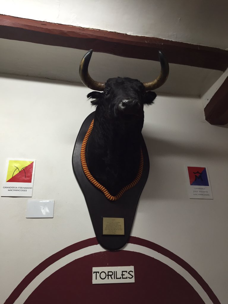Javi_Viza's tweet photo. Cabeza del toro #Faraón de #Machancoses en #ontinyent https://t.co/AJV88jwGmy