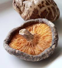 Medicinal mushrooms are true #superfood ~ find them in Signature Blend  #shiitake ow.ly/Vw0BN