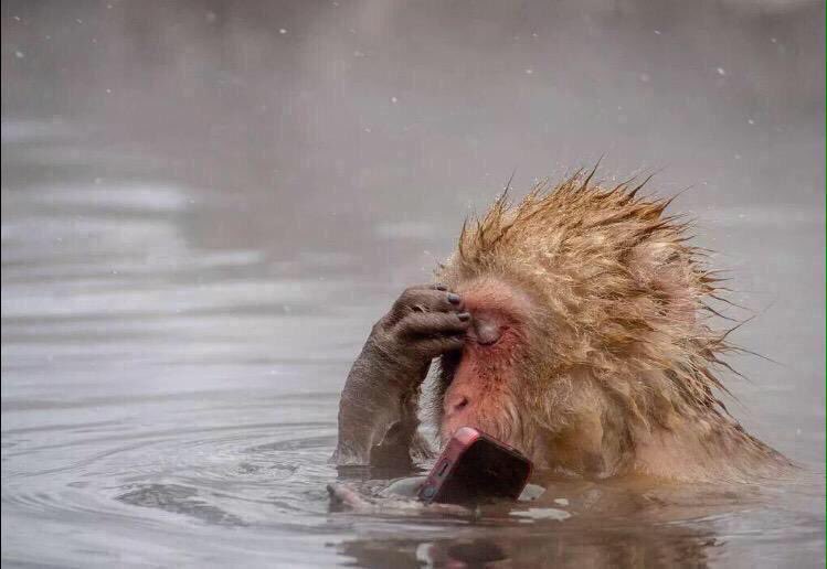 ابوالمش (@msharimmg) on Twitter photo 