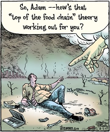 WildBeets's tweet image. #wildbeets #ibiza