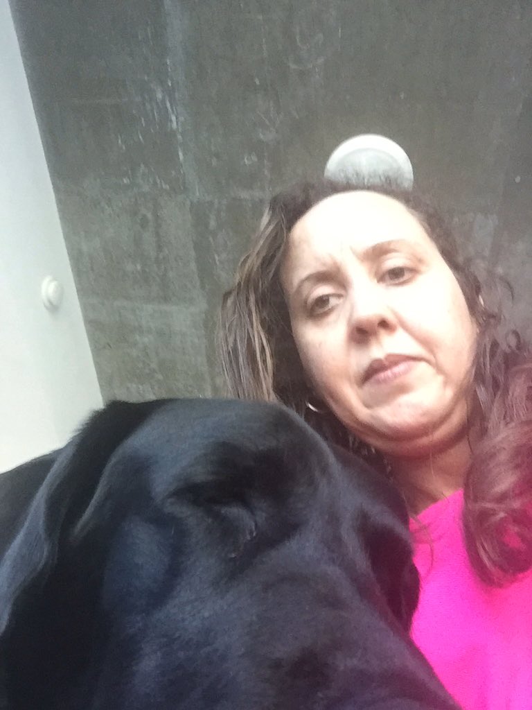 AnneFCurrie's tweet photo. @kristoffstjohn1 My dog & I enjoyed your live stream via #Periscope I'm going to download #hangw https://t.co/bKx9FDPPTC