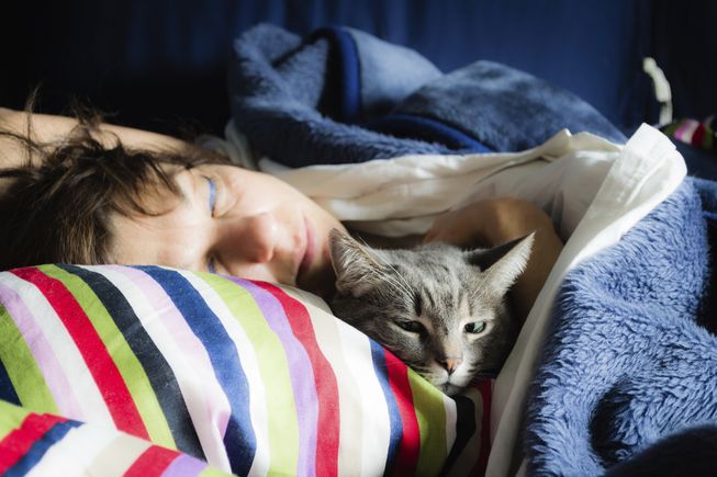 PlanetGreen's tweet photo. Pets in the bedroom may help you sleep better https://t.co/OG9g9Hv2y7 https://t.co/EO1RypBbXw