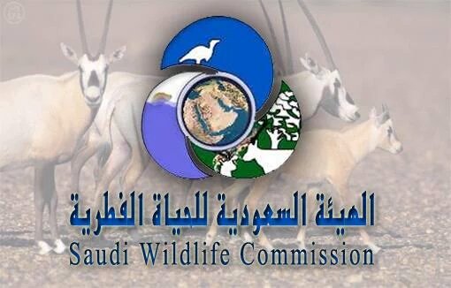 هذي هي وسائل الأتصال مع الهيئة السعودية للحياة الفطرية #حرة_الحره 
m.swa.gov.sa/ar/دليل-الاتصال
.
.