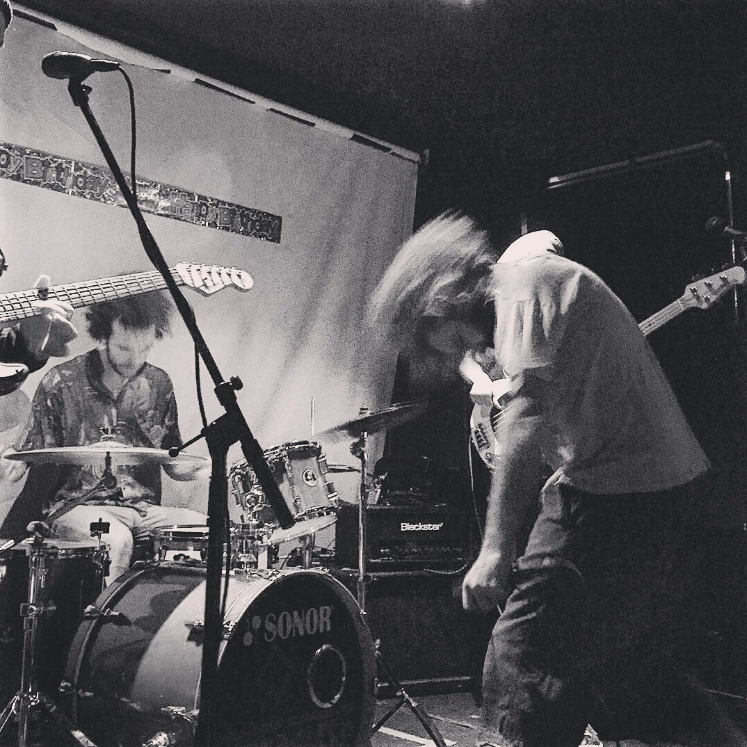 HeartRockLive's tweet photo. @MyPetSharkuk #heartrocklive #livemusic #newcastleupontyne #band #dogandparrot https://t.co/SSwRTjMBWw