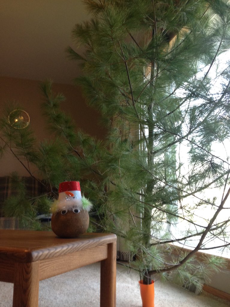 traditionalted's tweet photo. Christmas tree is up. #holidayspirit #whitepine #nothumbs https://t.co/V5PLdws6NR