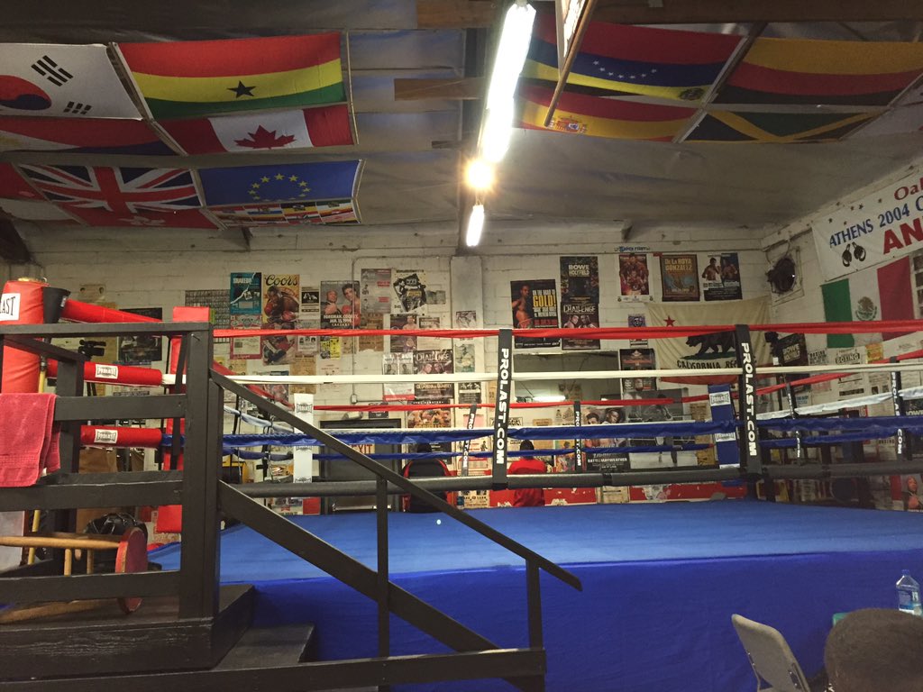 King's Boxing Gym tweet media