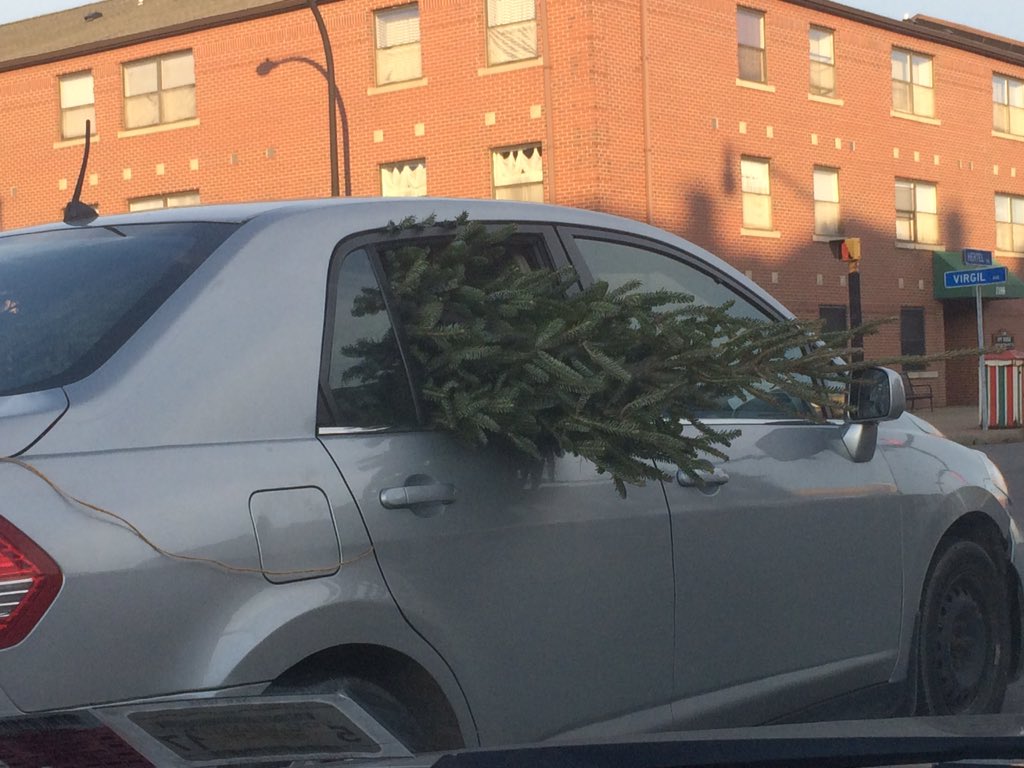 KatieOlmstedOH's tweet photo. I guess you gotta do what you gotta do to get the perfect tree home #HappyHolidays #literallyLOLed https://t.co/ts4hiY1H4c