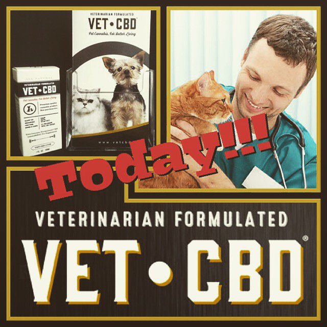 TwoRiversSac's tweet image. here #today 3-7 @tworiverscollective make sure you stop by #demo #vetcbd #medsforpets #amazing #cannabiseducation