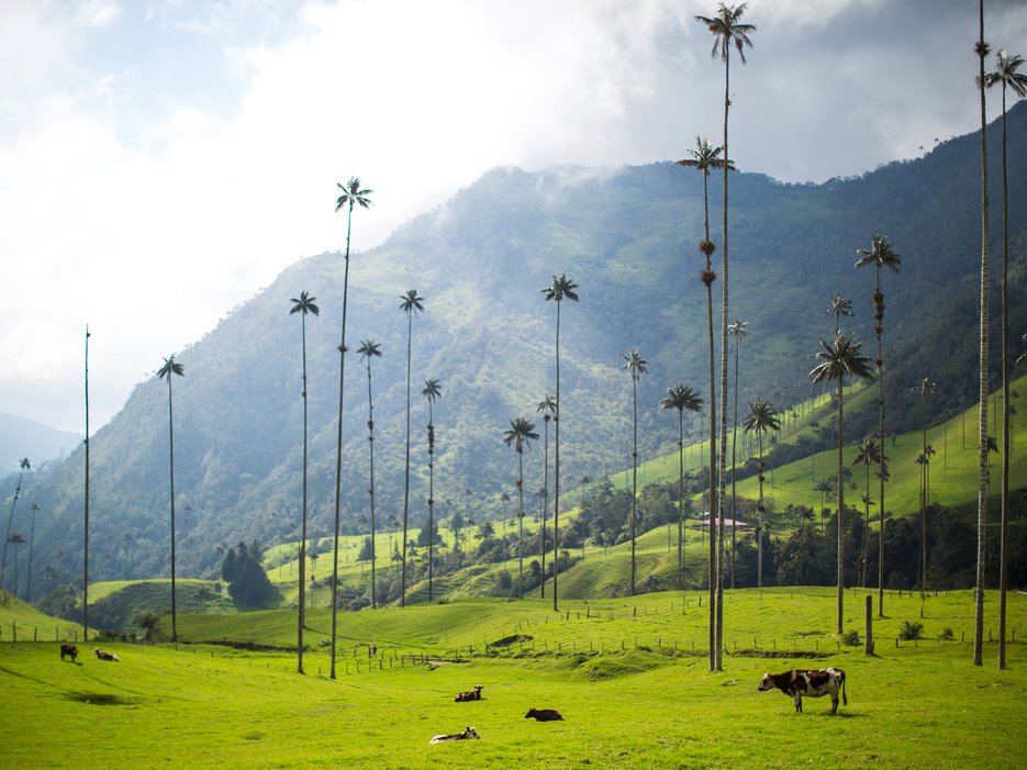CNTraveler's tweet photo. The 50 most beautiful places in the world https://t.co/JytHD83OA0 https://t.co/KTrmWt4lut