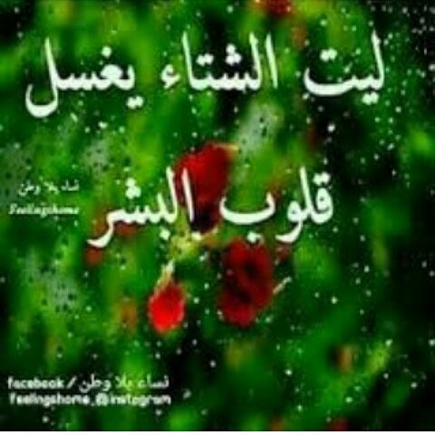 روح الهيل 🎋 (@_alopm) on Twitter photo 