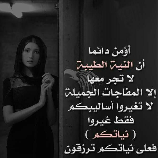 الغريب الشمري (@almaa4410) on Twitter photo 