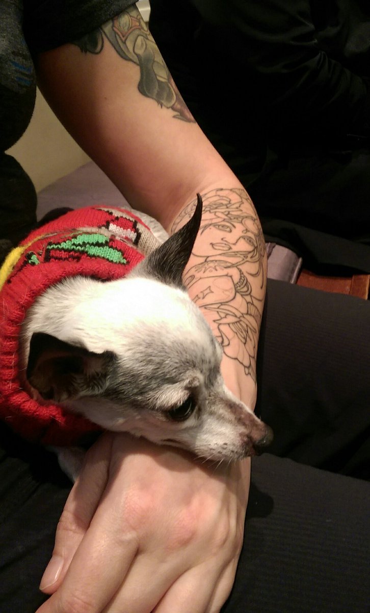 Chillin at the tattoo fundraiser for <a href="/BPRAnimalRescue/">BrokenPromisesRescue</a> come to <a href="/paintedlotus/">Painted Lotus</a> today till 5pm!