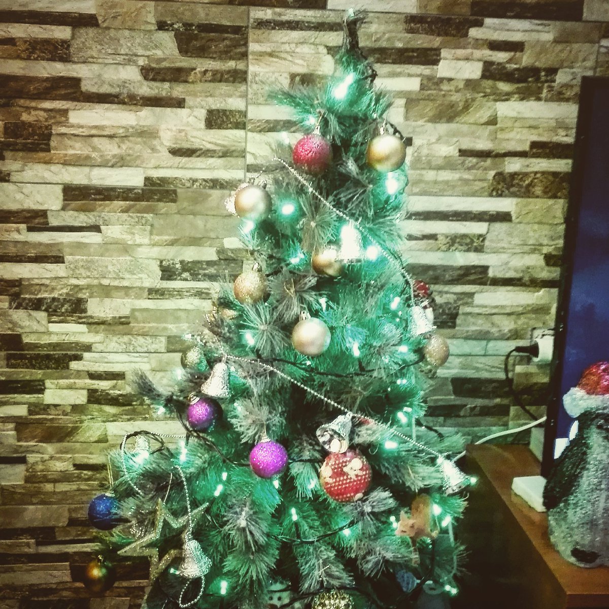 Ivette_Gimenez's tweet photo. Feliz Navidad! https://t.co/L6ELliRUoj