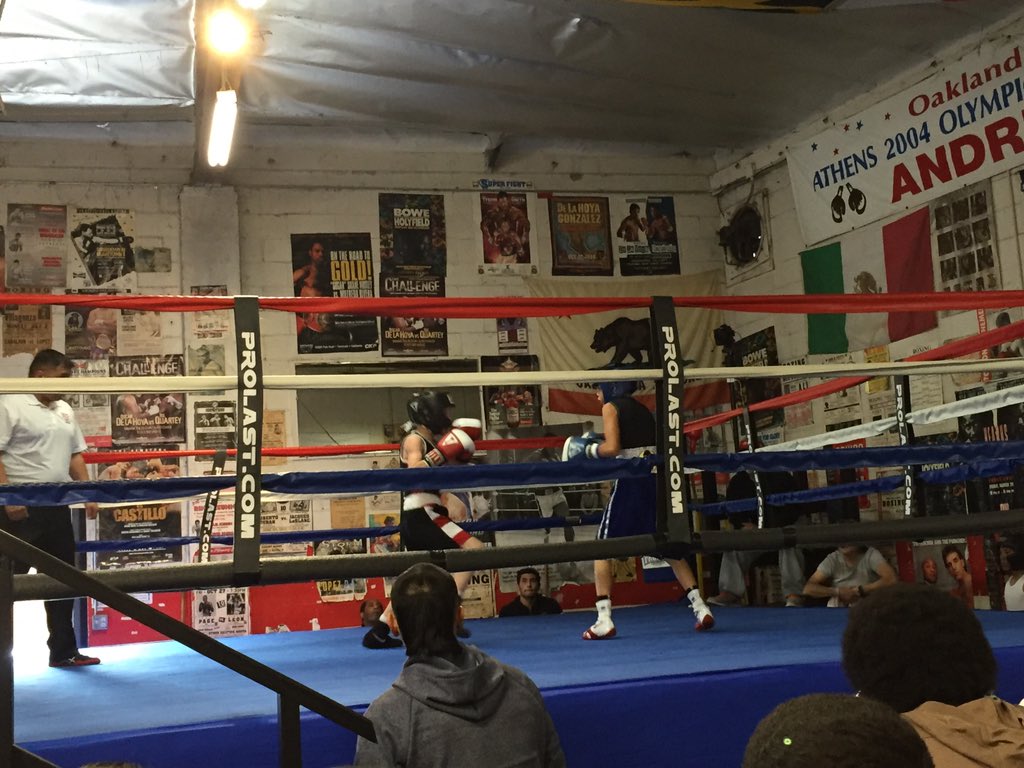 King's Boxing Gym tweet media