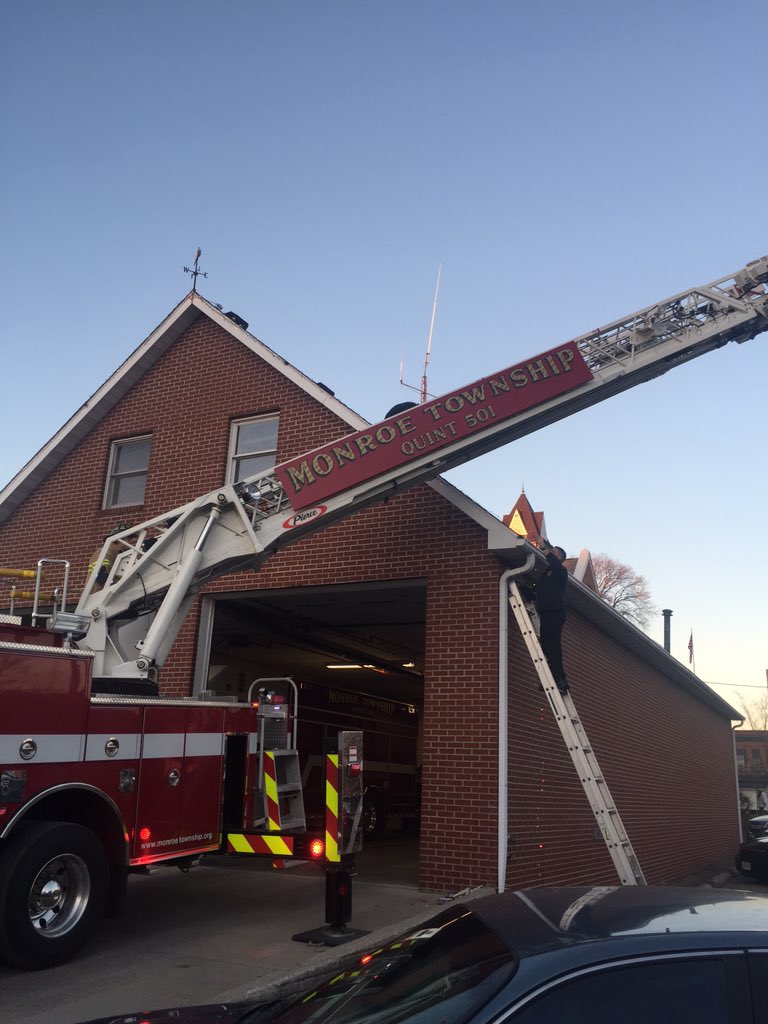 Local 4250 tweet media