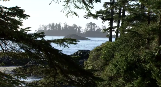 weathernetwork's tweet photo. Heightened levels of Fukushima cesium detected off coast of Canada. https://t.co/RR0pIEKL2Y https://t.co/HrLoGxfcZX