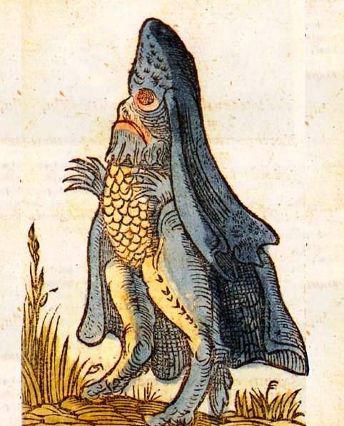 Embedded image permalink