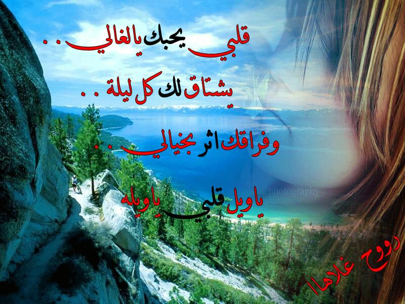 الغريب الشمري (@almaa4410) on Twitter photo 