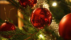 AcadianaNews1st's tweet photo. Breaux Bridge's Lighting of the Military Tree in Veterans Park takes place at 5 p.m.!  https://t.co/JR7xuHMb5t https://t.co/qYJD6bzkA1