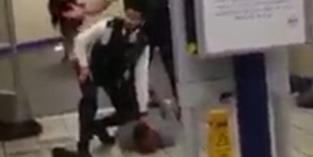 Embedded image permalink