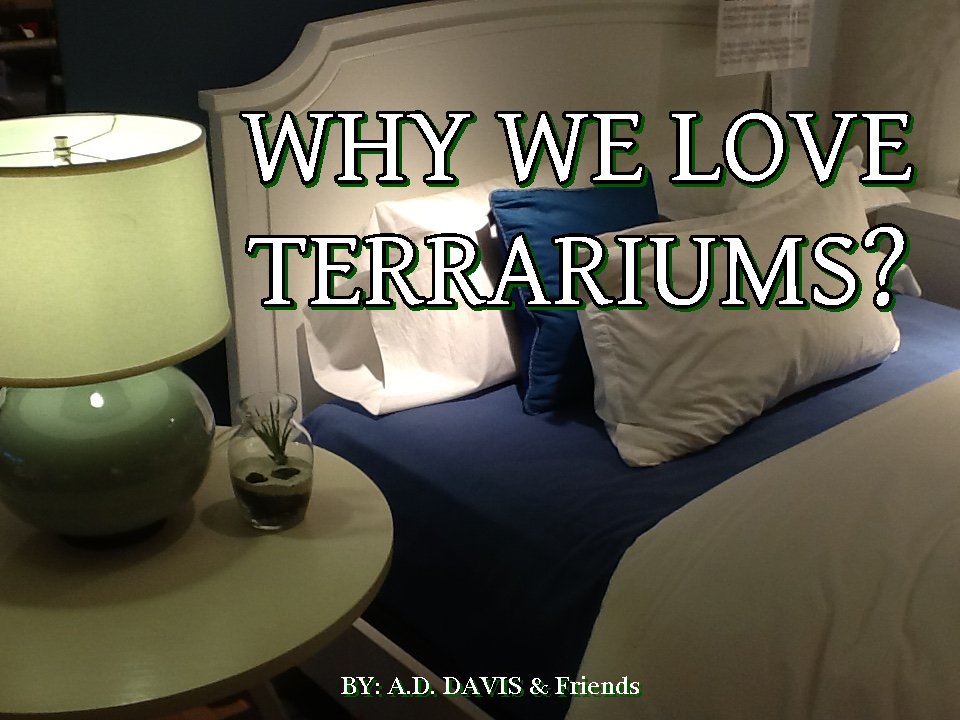 YourPromoFriend's tweet image. Join our book club for free...   form.jotform.com/52976073073157

#bookclub  #amazon  #kindle  #barnesandnoble #ebooks