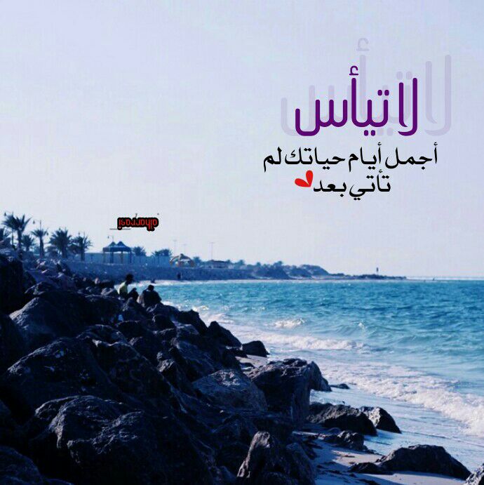 لا تيأس ربما ..
أجمل ايام حياتگ لم تأتي بعد  ♪̠❥