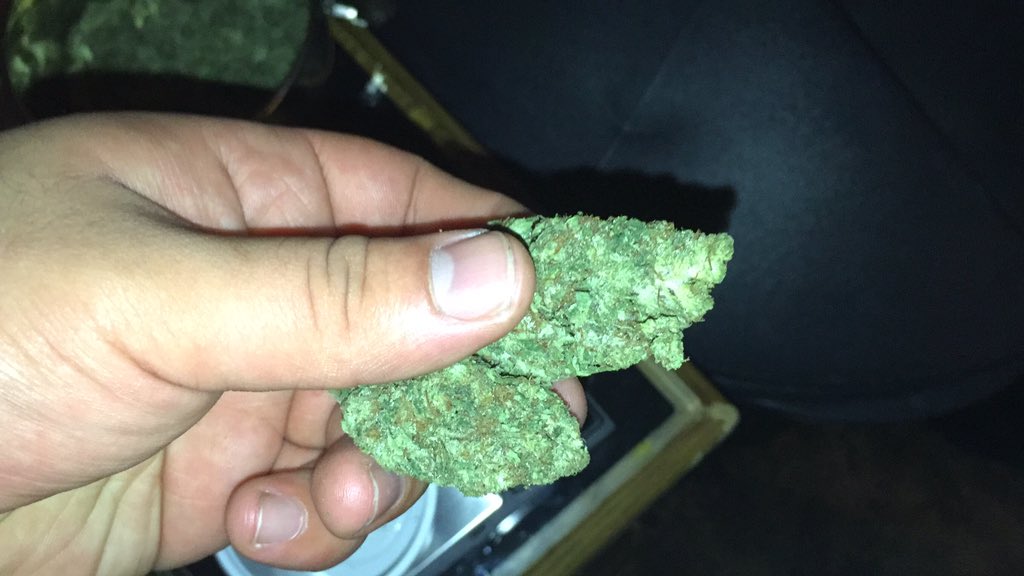 HelloMyStrainIs's tweet photo. Hello My Strain Is Sour Diesel
Smells AMAZING!!
@ThaStonerNation @420 @MassRoots @BudPictures @BuckNasty63 @WeedCode https://t.co/nmVh4mDm3u