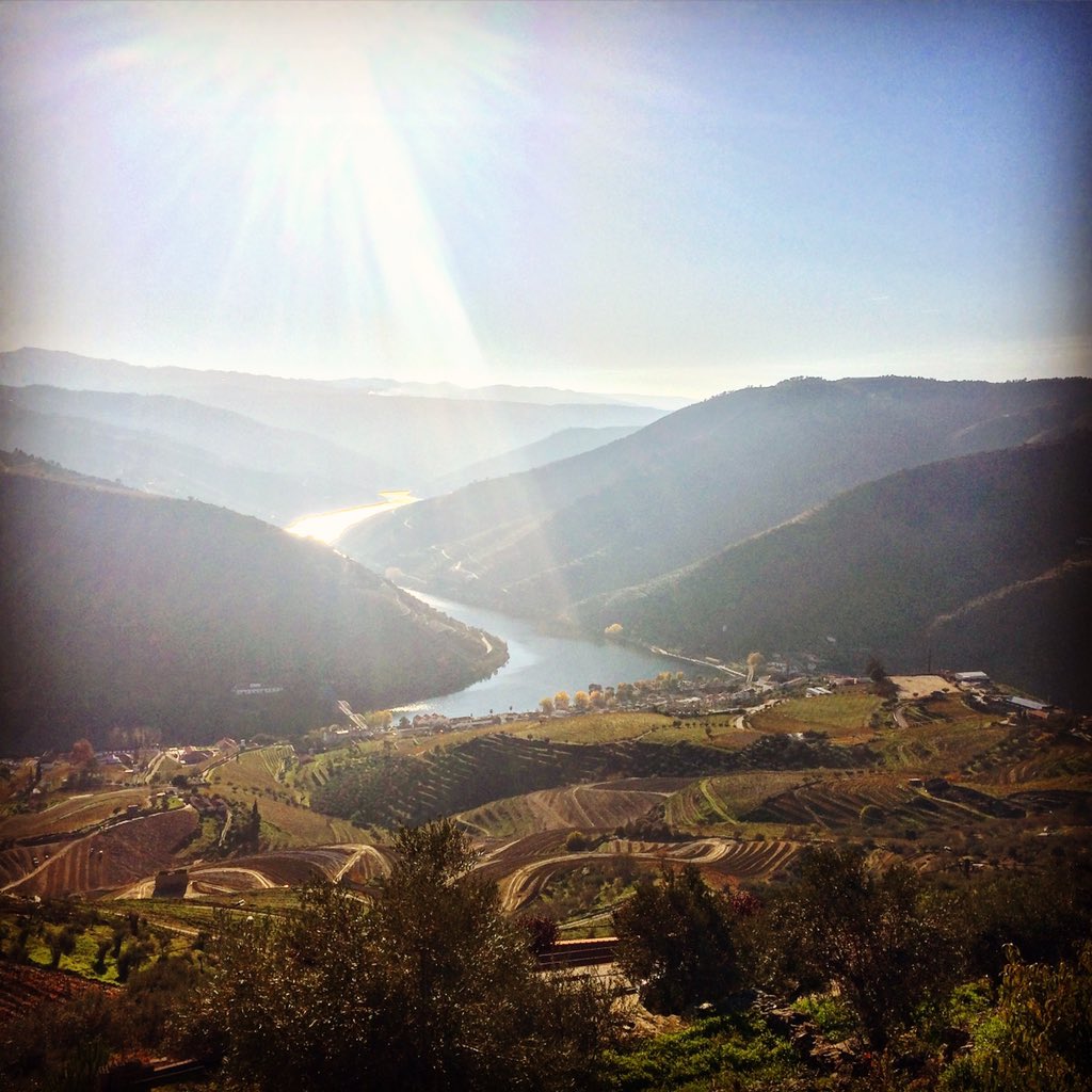 brunosim81's tweet photo. Douro Valley https://t.co/IRBP6Um6B8