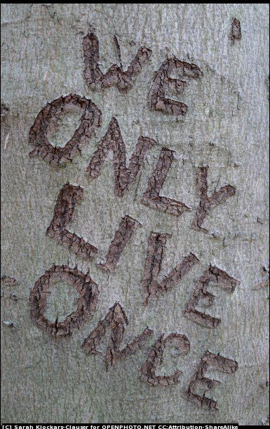 Penelopisms's tweet photo. POL-Prisoner of Love https://t.co/3GjMSfJwGA https://t.co/vuYBLRUeUb