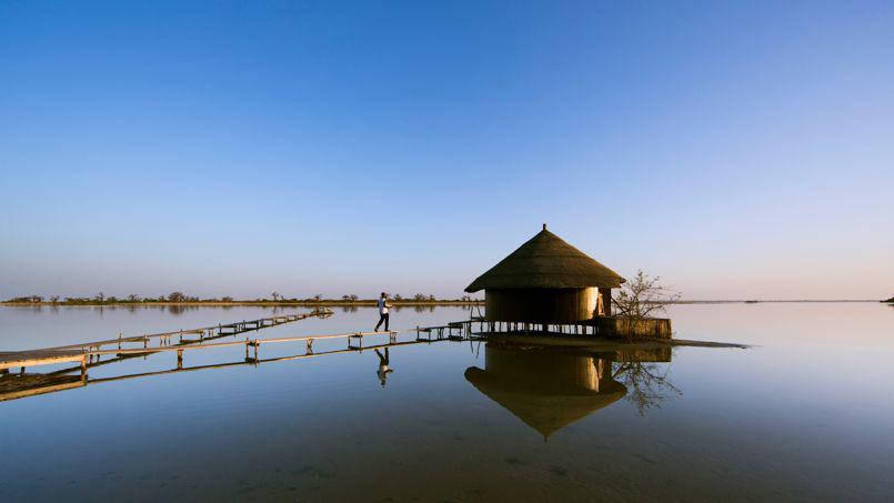 black milk tweet media