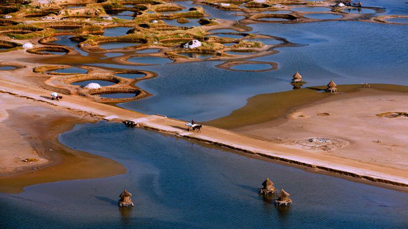 black milk tweet media