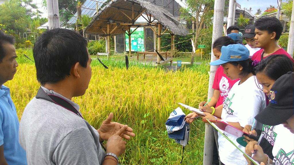 Observasi Rumah Hijau Trikaya (Komik-4) (1)