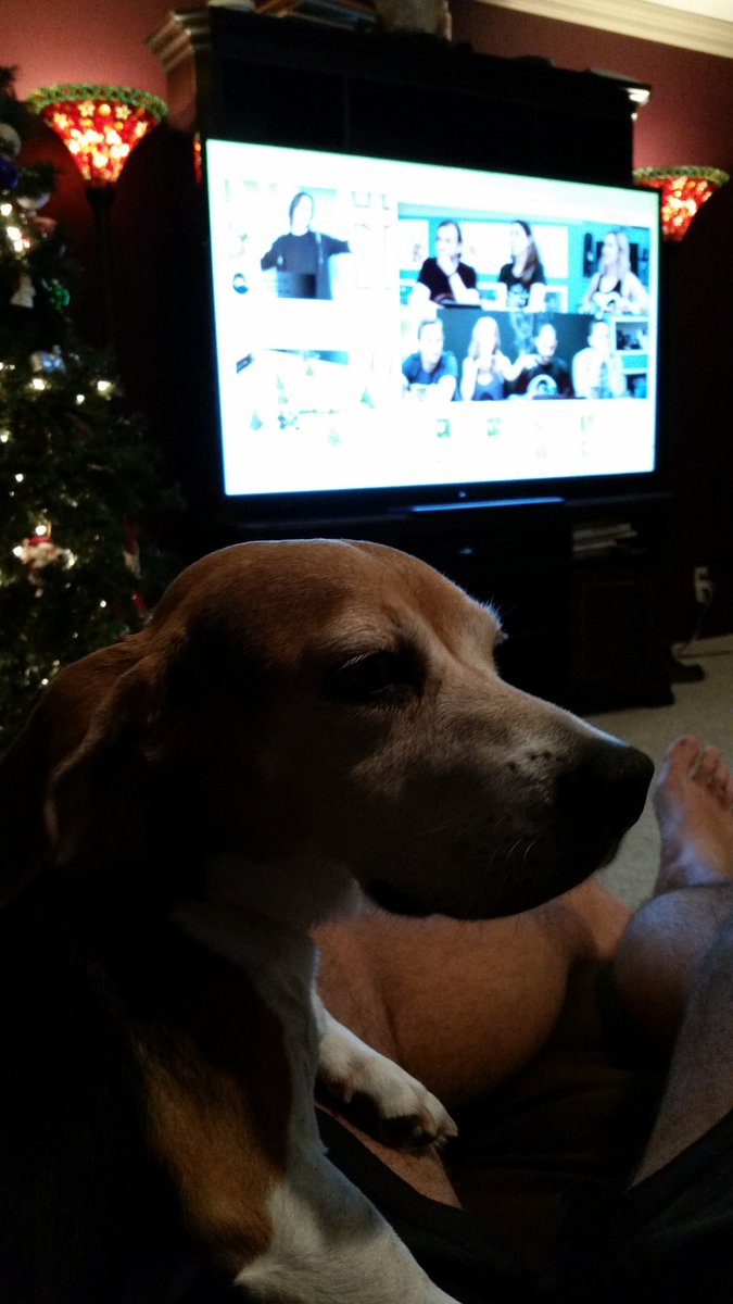 HeyMisterWilson's tweet photo. Me and Large Marge getting caught up on some @CriticalRole #beagle #dice4life https://t.co/NJcGW91eug