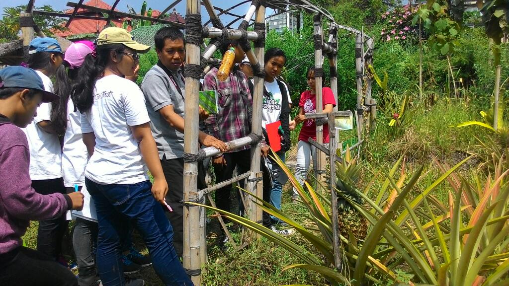 Observasi Rumah Hijau Trikaya (Komik-4) (2)