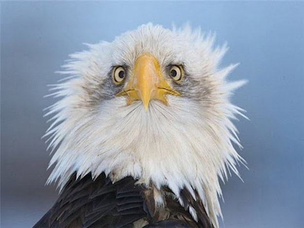 apushstruggle's tweet photo. When you see what you got on the test https://t.co/aeUpLjjWl0