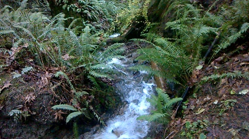 bcpgraphic's tweet image. What a day hiking cougar mountain