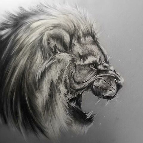 Sketch by pen of a lion head Stock Vector | Adobe Stock