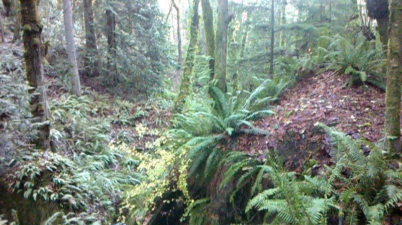 bcpgraphic's tweet image. The art of nature